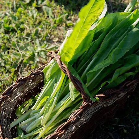 I Due Ghiri - Cinque Terre Farm stay Calice al Cornoviglio