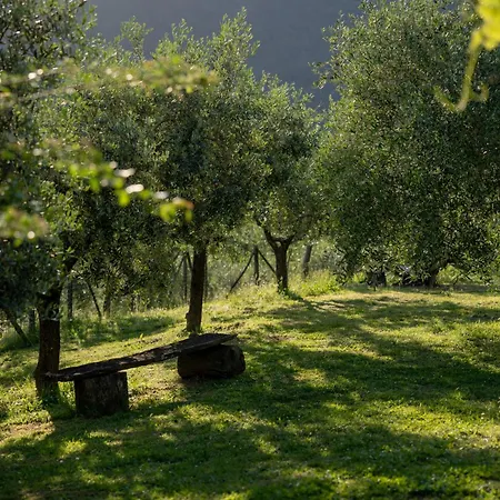 I Due Ghiri - Cinque Terre * Calice al Cornoviglio