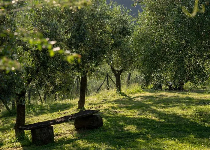 I Due Ghiri - Cinque Terre * Calice al Cornoviglio